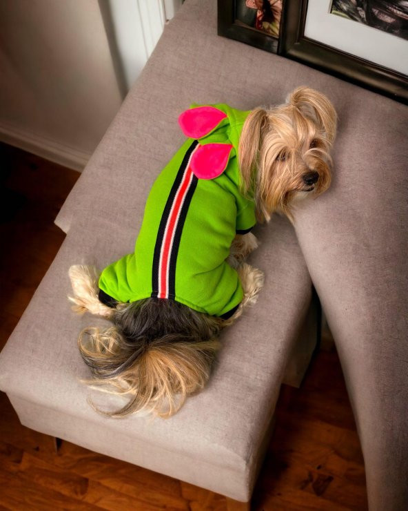 Shipy Pink Stripe Kulaklı Duo Köpek Tulumu Kıyafeti