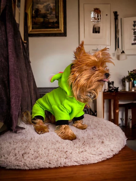 Shipy Pink Stripe Kulaklı Duo Köpek Tulumu Kıyafeti - 6