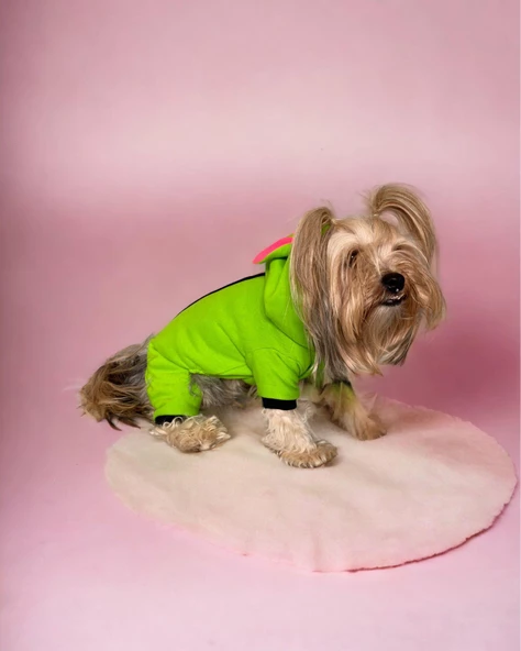 Shipy Pink Stripe Kulaklı Duo Köpek Tulumu Kıyafeti - 3