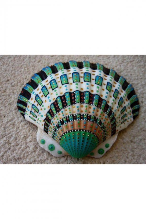 HAyal Sepeti Kabuk Boyama Seti, Deniz Kabuğu Boyama, Shell Painting, Boyama Seti - 2