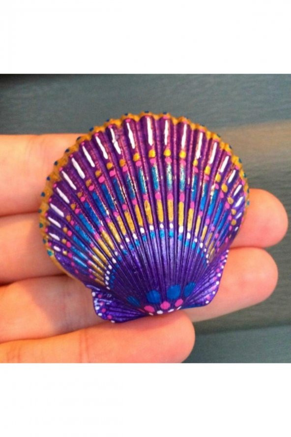 HAyal Sepeti Kabuk Boyama Seti, Deniz Kabuğu Boyama, Shell Painting, Boyama Seti - 4