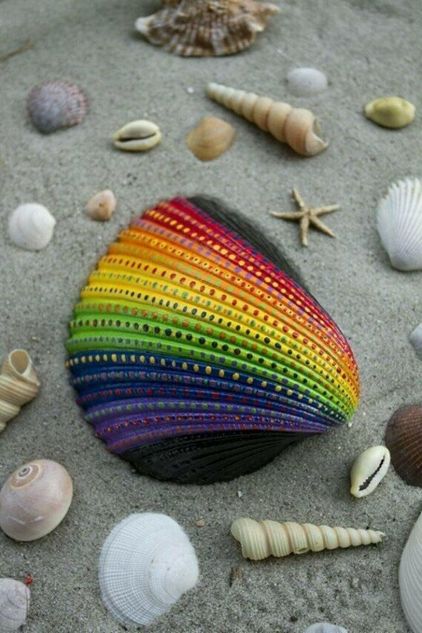 HAyal Sepeti Kabuk Boyama Seti, Deniz Kabuğu Boyama, Shell Painting, Boyama Seti - 6
