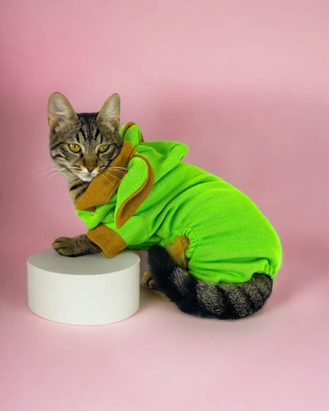 Froggy Kulaklı Duo Kedi Tulumu,Kıyafeti - 6