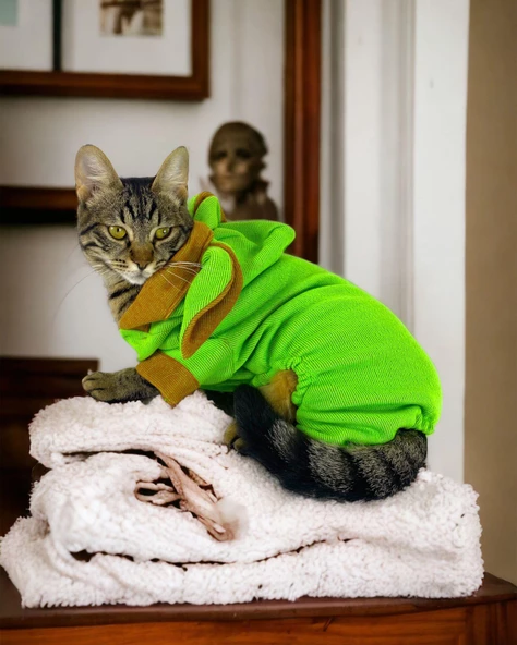 Froggy Kulaklı Duo Kedi Tulumu,Kıyafeti - 2