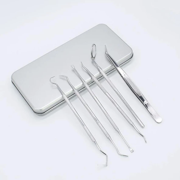 Valkyrie 6 adet Metal Kutulu Paslanmaz Çelik Diş Tartar Dil Temizleme Dental Ağız Bakım Seti - 2