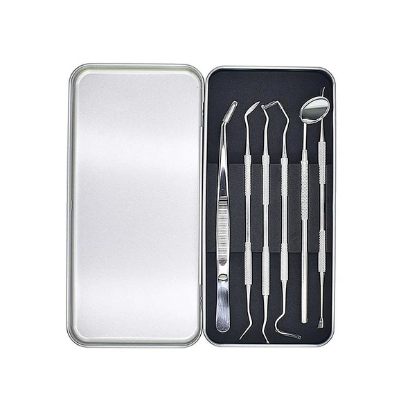 Valkyrie 6 adet Metal Kutulu Paslanmaz Çelik Diş Tartar Dil Temizleme Dental Ağız Bakım Seti