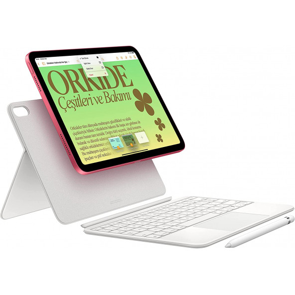 iPad 10. Nesil Wi-Fi 64 GB 10.9" MPQ03TU/A Gümüş Tablet - 3