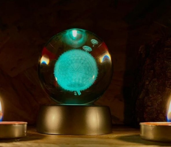 Dekoratif Hediye Karahindiba Işıklı Renk Değiştiren Dekoratif Cam Küre