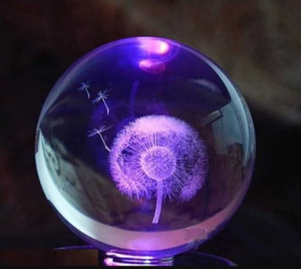 Dekoratif Hediye Karahindiba Işıklı Renk Değiştiren Dekoratif Cam Küre - 2