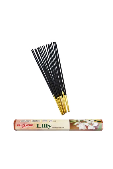 5 Paket 20 Çubuklu Tütsü Lemon - Amber - Lilly- Jasmine - Coconut - Kayık Hediyeli - 6