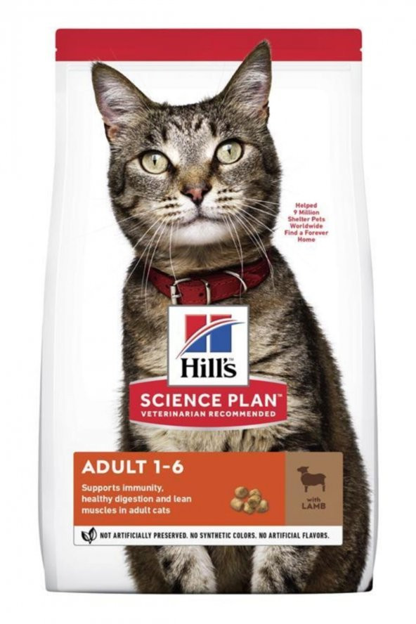 Hills Adult Kuzu Etli Yetişkin Kedi Maması 3 kg