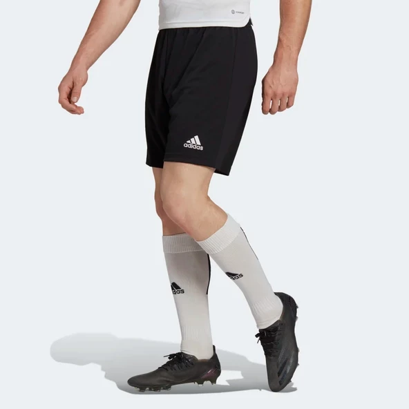 Adidas H57504 Ent22 Erkek Spor Şort