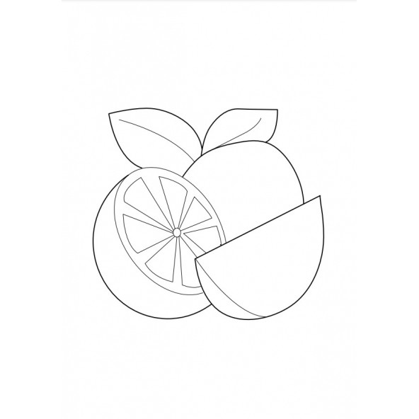 Okul Öncesi Eğitici Süper Boyama Kitap Seti (11 Kitap) - 6