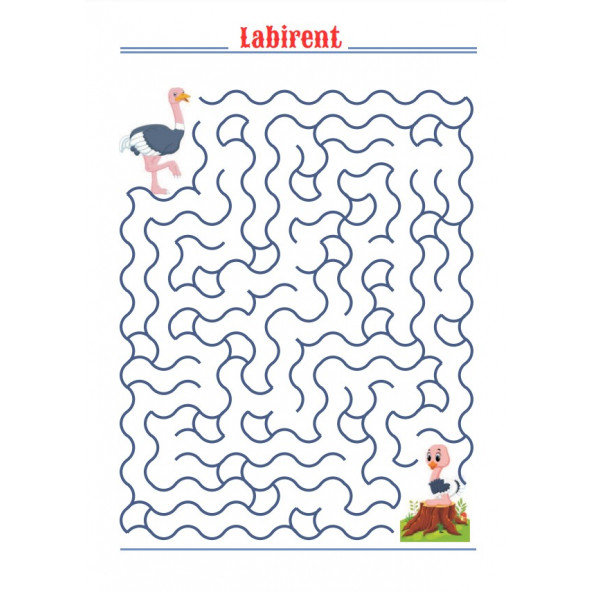 Süper Labirent Kitap Seti (2 Labirent Kitabı) - 2