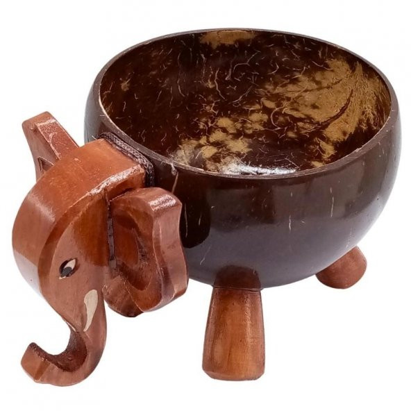 Hindistan Cevizi Coconut Fil Kase Ayaklı Coconat Şekerlik - 2