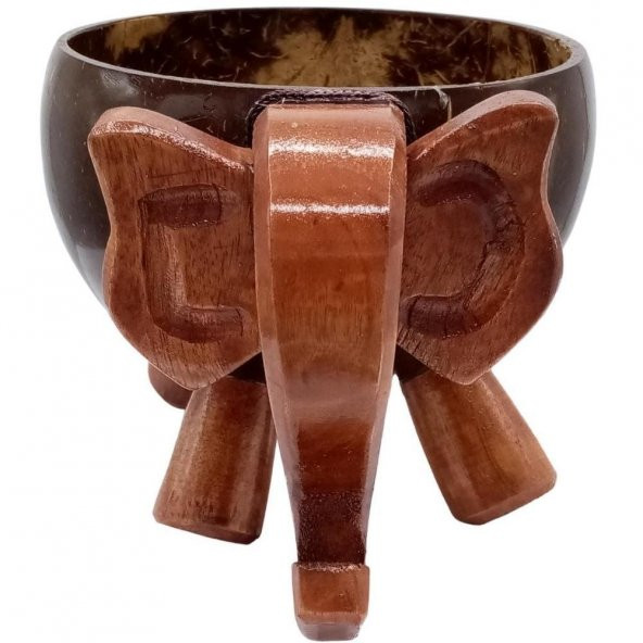 Hindistan Cevizi Coconut Fil Kase Ayaklı Coconat Şekerlik - 4