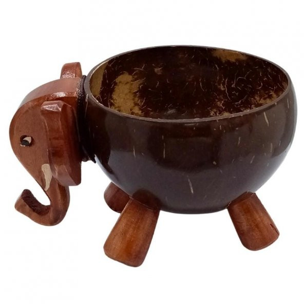 Hindistan Cevizi Coconut Fil Kase Ayaklı Coconat Şekerlik - 5