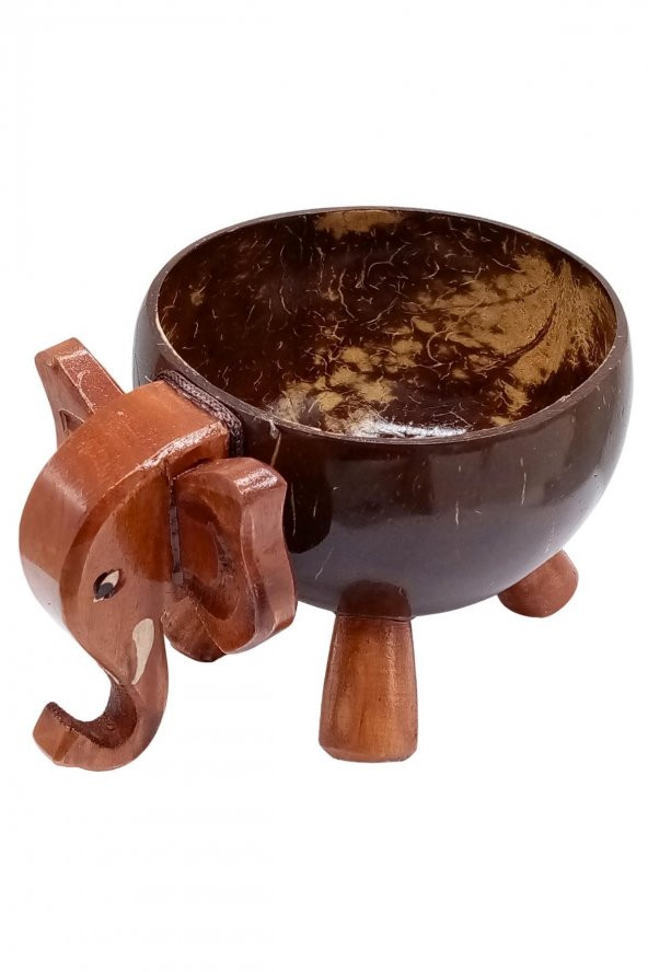 Hindistan Cevizi Coconut Fil Kase Ayaklı Coconat Şekerlik - 7