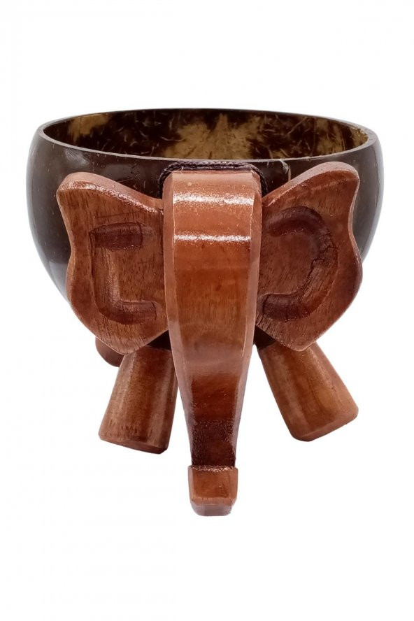 Hindistan Cevizi Coconut Fil Kase Ayaklı Coconat Şekerlik - 9