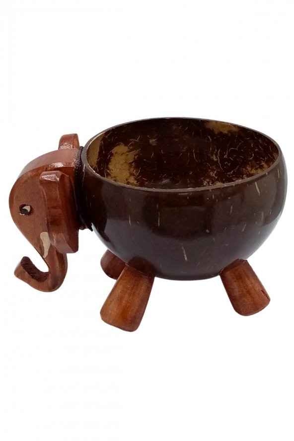 Hindistan Cevizi Coconut Fil Kase Ayaklı Coconat Şekerlik - 10