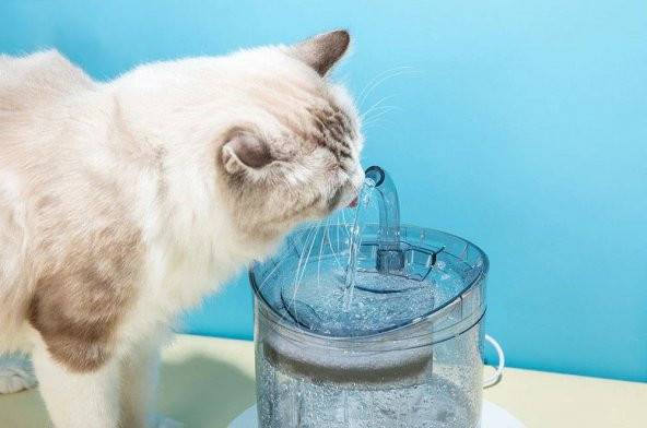 Dailytech Otomatik Pet Kedi Köpek Su Pınarı Çeşmesi Şelalesi Sebil - 3