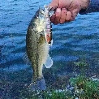 Valkyrie 3 Adet 8 Eklemli 3D Oynak Rapala Sahte Balık Yem Seti Tatlı ve Tuzlu Su Uyumlu Wobblers Swimbait - 2