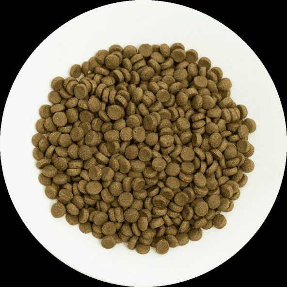 Pro choice Pro36 kuzu etli yetişkin kedi 1 kg açık mama - 2