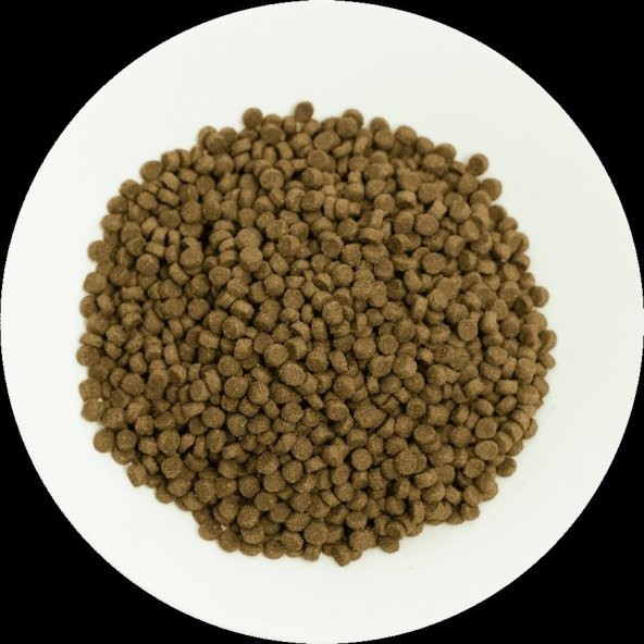 Pro choice Pro38 kitten kuzu etli yavru kedi 4 kg açık mama - 2