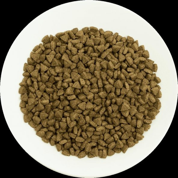 Pro choice Pro34 somonlu yetişkin kedi 2 kg açık mama - 2