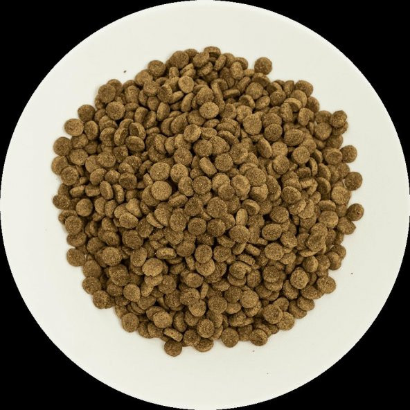Pro choice Pro33 sterilised somonlu karidesli kısır kedi 4 kg açık mama - 2