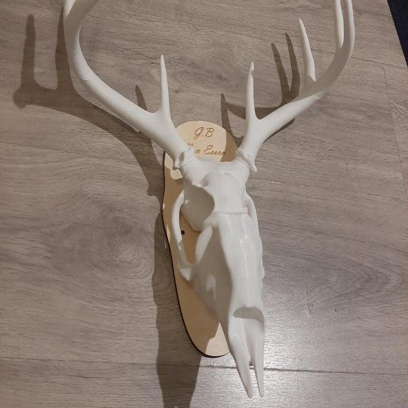 Geyik Kafatası Yazdırılabilir Büyük! Plastik Aparat