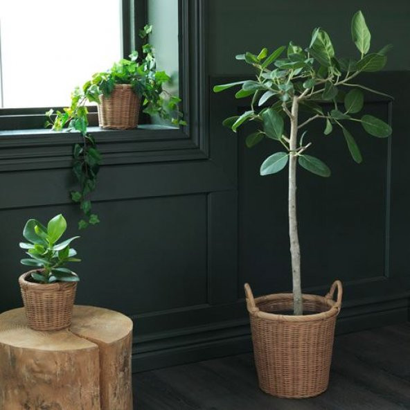 Hasır Görünümlü ,Rattan Saksı MeridyenDukkan 24 cm Bitki-Çiçek Saksısı - 3