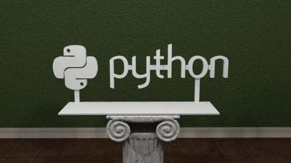 Python Logosu Plastik Aparat