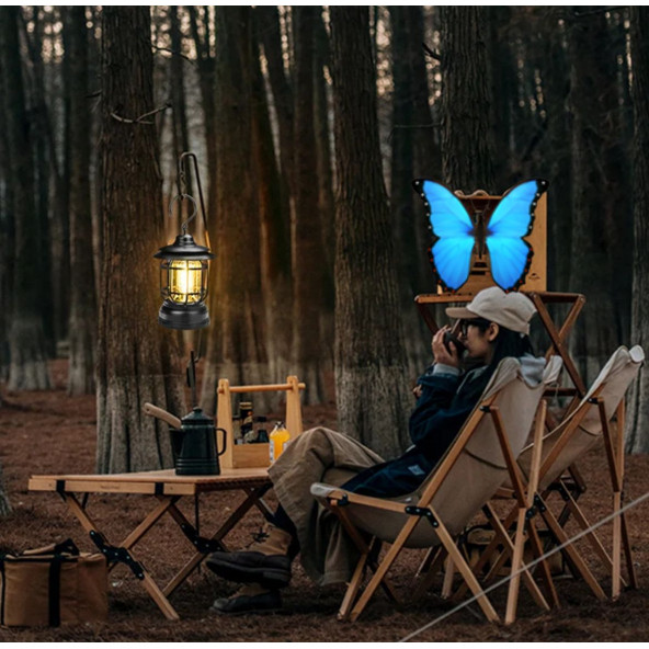 Profesyonel Taşınabilir Çok Fonsiyonlu Kamp Feneri Pg-4040 - 2