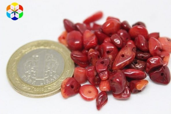 Delikli Mercan Mini Boy 50 adet (Boyalıdır) ürün görseli