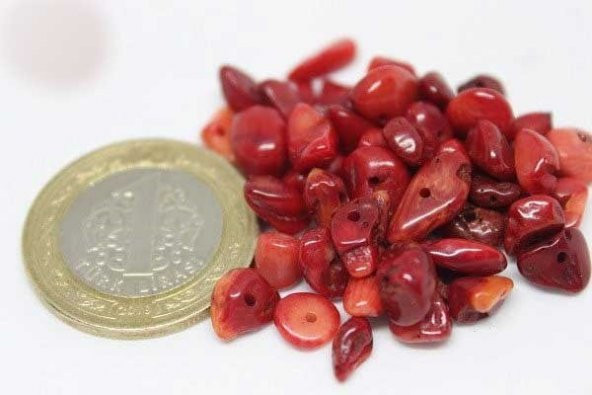 Delikli Mercan Mini Boy 50 adet (Boyalıdır) - Resim 2