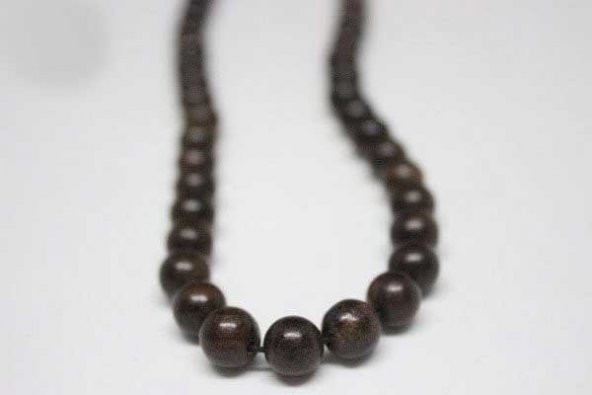 Ceviz Ağacı 8mm/adet - Resim 4