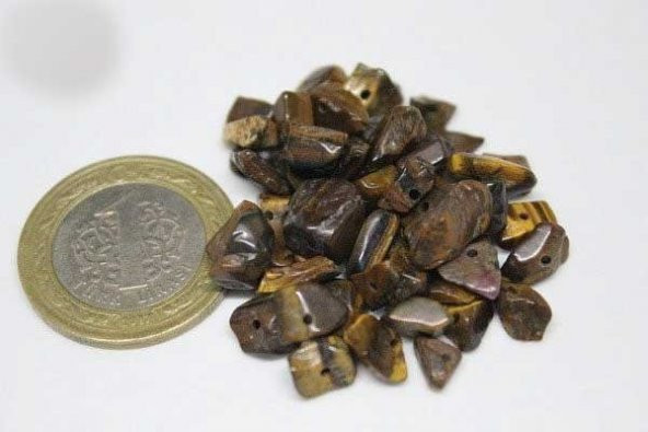 Delikli Kaplangözü Taşı Mini Boy 50 adet - Resim 2