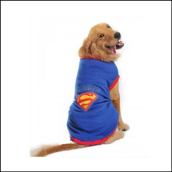 Superman Tişört Büyük Irk Köpekler İçin - 4