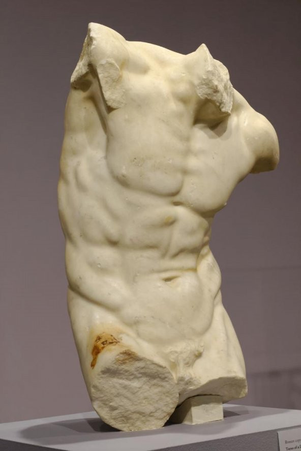 Dancing Faun Torso (Aşağıya Davet) Plastik Aparat
