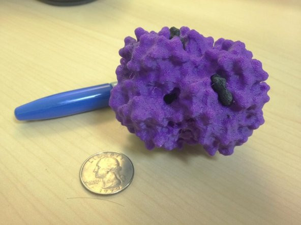 Ayrı Heme Molekülleri İle Oksi-Hemoglobin Plastik Aparat