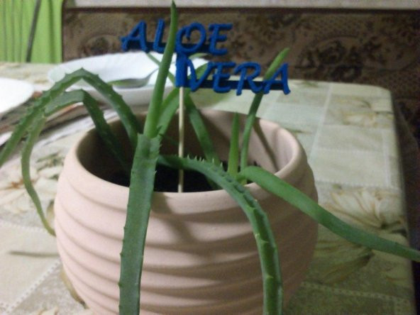 Aloe Vera Plastik Aparat