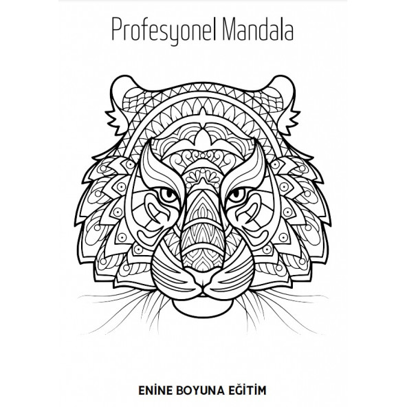 Süper MANDALA Kitap Seti (3 Kitap) - 3