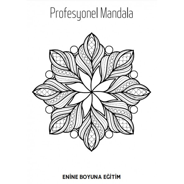 Süper MANDALA Kitap Seti (3 Kitap) - 4