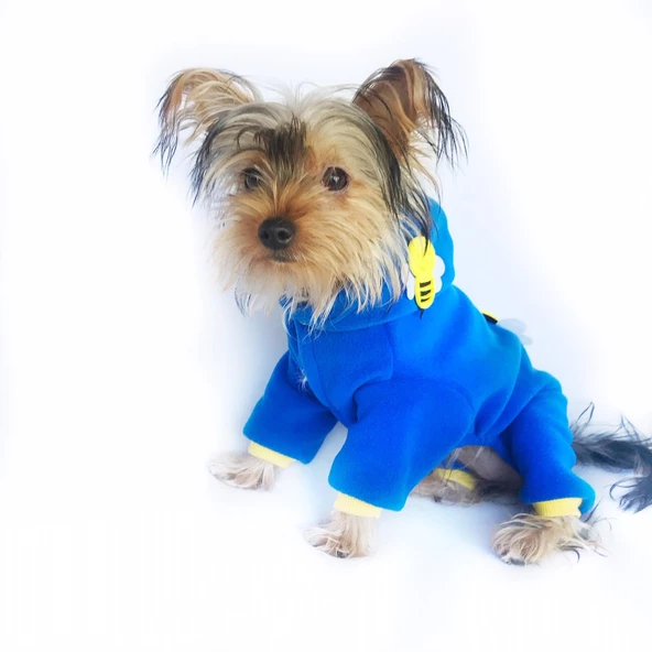 Navy Bee Duo Köpek Tulumu Köpek Kıyafeti - 7