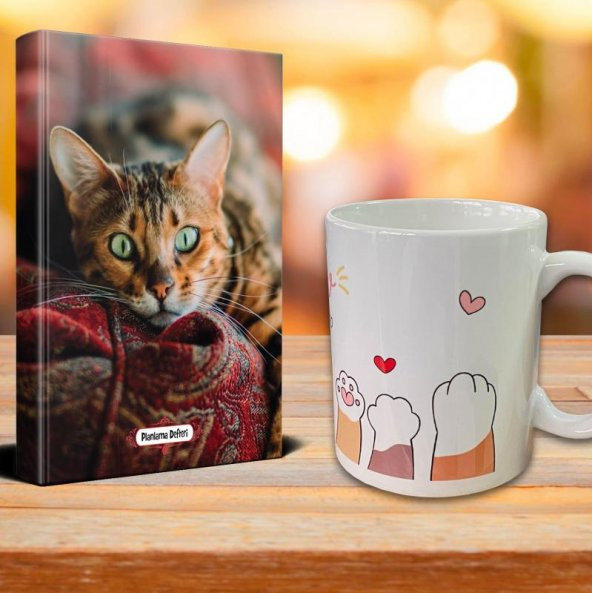 Halk Kitabevi Şaşkın Kedi Ajanda Sevimli Patiler Kupa Seti
