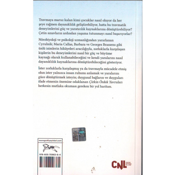 ÇİRKİN ÖRDEK YAVRULARI - Resim 2