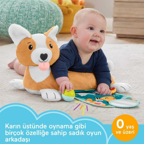 Fisher Price 3ü 1 Arada Köpekçik Uzanma Yastığı HJW10 Bebekler İçin Yastık - 4