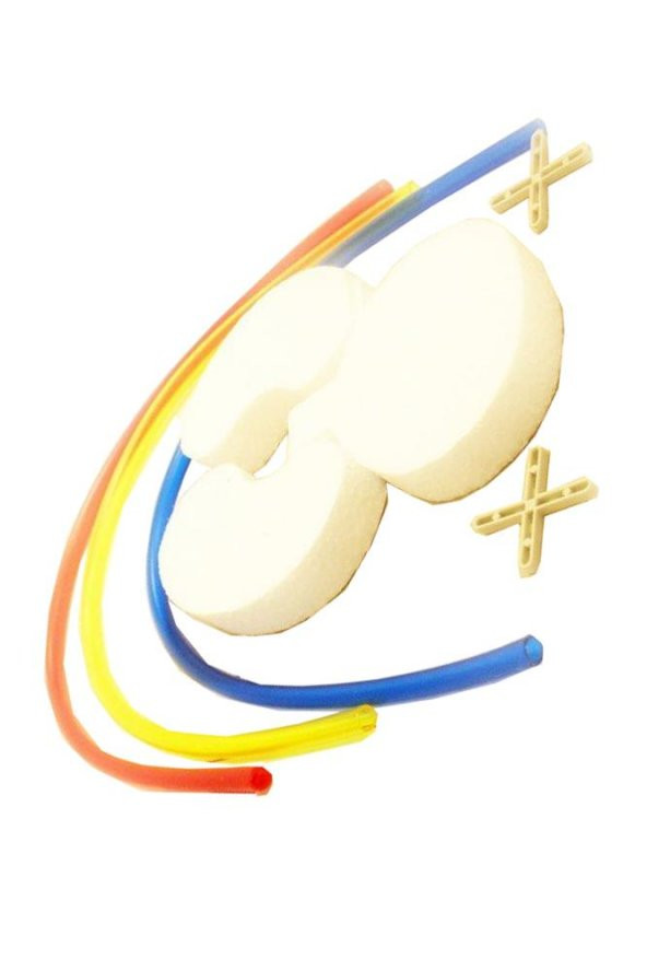 Boşaltım Sistemi Modeli 8 Parça 1 Paket Okul Sınıf Deney Seti Böbrek Boşaltım Sistem Deney Malzemesi - 5