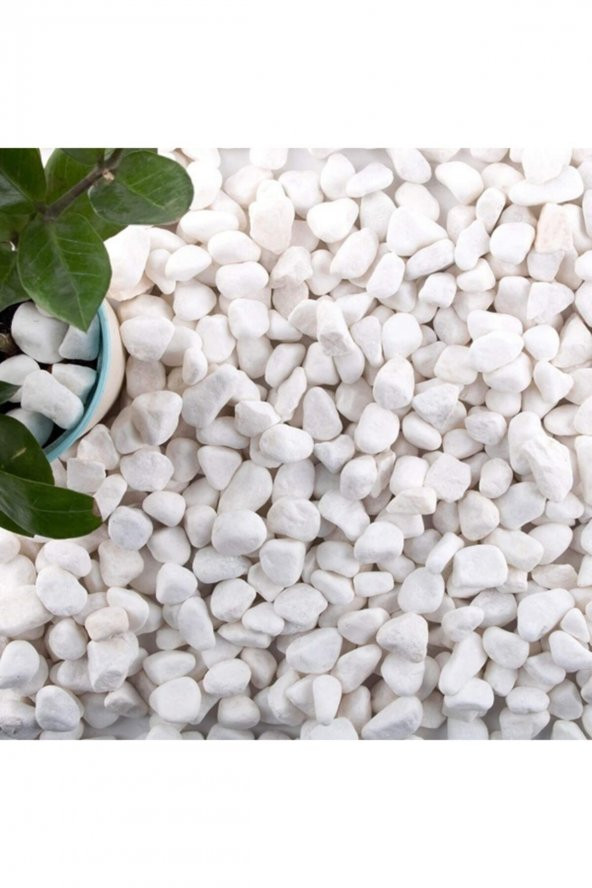 Dolomit Taş 5 Kg 1-2 Cm Beyaz Dolomit Taş Saksı Dibi Dekoratif Taş Teraryum Taşı Bahçe Taşı